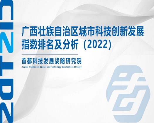 肏浪女屄视频在线播放【成果发布】广西壮族自治区城市科技创新发展指数排名及分析（2022）